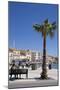 Women on a Bench Near a Palm Tree-Guy Thouvenin-Mounted Photographic Print