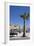 Women on a Bench Near a Palm Tree-Guy Thouvenin-Framed Photographic Print