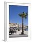 Women on a Bench Near a Palm Tree-Guy Thouvenin-Framed Photographic Print