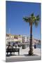 Women on a Bench Near a Palm Tree-Guy Thouvenin-Mounted Photographic Print