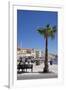 Women on a Bench Near a Palm Tree-Guy Thouvenin-Framed Photographic Print