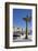 Women on a Bench Near a Palm Tree-Guy Thouvenin-Framed Photographic Print