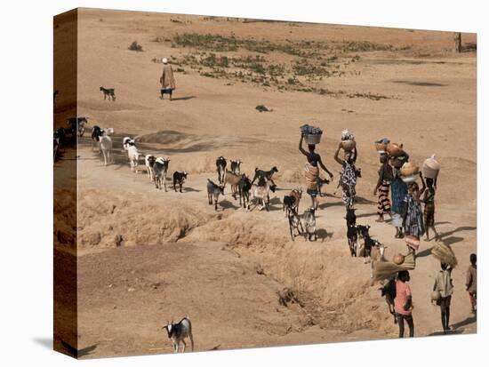 Women on Their Way to Washplace in the River Niger, Mali, Africa-Jack Jackson-Stretched Canvas