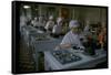 Women Packing Caviar Into Glass Jars for Export at Astrakhan Fish Complex Processing Plant-Carl Mydans-Framed Stretched Canvas