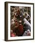 Women Performing Puja on the River Front, Varanasi (Benares), Uttar Pradesh State, India-John Henry Claude Wilson-Framed Photographic Print