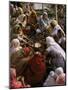 Women Performing Puja on the River Front, Varanasi (Benares), Uttar Pradesh State, India-John Henry Claude Wilson-Mounted Photographic Print