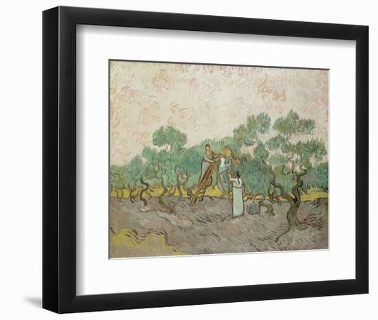 Women Picking Olives, 1889-Vincent van Gogh-Framed Giclee Print
