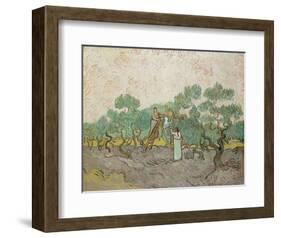 Women Picking Olives, 1889-Vincent van Gogh-Framed Giclee Print