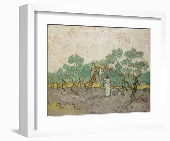 Women Picking Olives, 1889-Vincent van Gogh-Framed Giclee Print