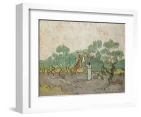 Women Picking Olives, 1889-Vincent van Gogh-Framed Giclee Print