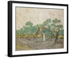 Women Picking Olives, 1889-Vincent van Gogh-Framed Giclee Print