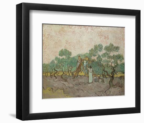 Women Picking Olives, 1889-Vincent van Gogh-Framed Art Print