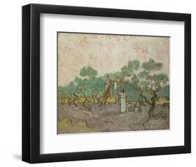 Women Picking Olives, 1889-Vincent van Gogh-Framed Art Print