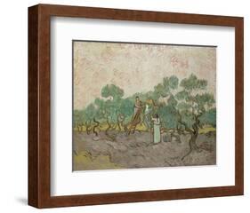 Women Picking Olives, 1889-Vincent van Gogh-Framed Art Print