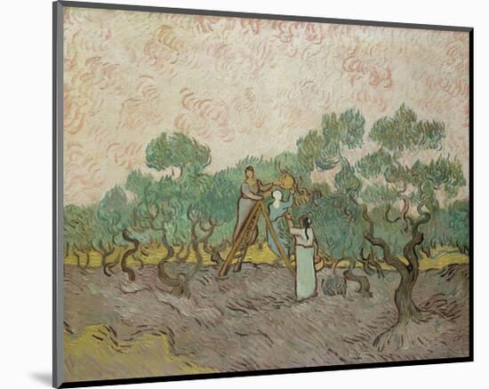 Women Picking Olives, 1889-Vincent van Gogh-Mounted Art Print