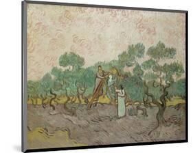 Women Picking Olives, 1889-Vincent van Gogh-Mounted Art Print