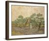 Women Picking Olives Anagoria-Vincent Van Gogh-Framed Giclee Print