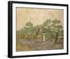 Women Picking Olives Anagoria-Vincent Van Gogh-Framed Giclee Print