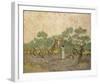 Women Picking Olives Anagoria-Vincent Van Gogh-Framed Giclee Print