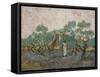 Women Picking Olives-Vincent van Gogh-Framed Stretched Canvas