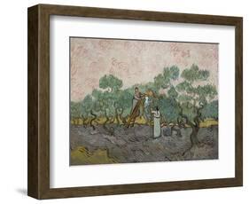 Women Picking Olives-Vincent van Gogh-Framed Art Print