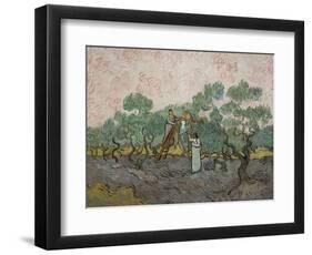 Women Picking Olives-Vincent van Gogh-Framed Art Print