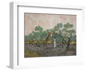 Women Picking Olives-Vincent van Gogh-Framed Art Print