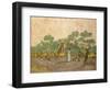 Women Picking Olives-Vincent van Gogh-Framed Giclee Print