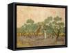 Women Picking Olives-Vincent van Gogh-Framed Stretched Canvas