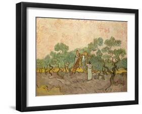 Women Picking Olives-Vincent van Gogh-Framed Giclee Print