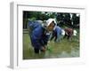 Women Planting Rice in Paddy, Kurobe, Toyama Prefecture-Ted Thai-Framed Premium Photographic Print