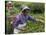 Women Plucking Tea, Fikkal, Nepal, Asia-Eitan Simanor-Stretched Canvas