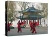 Women Practising Tai Chi in Front of a Pavilion on West Lake, Hangzhou, Zhejiang Province, China-Kober Christian-Stretched Canvas