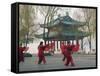 Women Practising Tai Chi in Front of a Pavilion on West Lake, Hangzhou, Zhejiang Province, China-Kober Christian-Framed Stretched Canvas