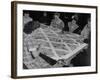 Women Quilting-null-Framed Photographic Print