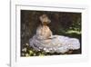 Women Reading-Claude Monet-Framed Art Print