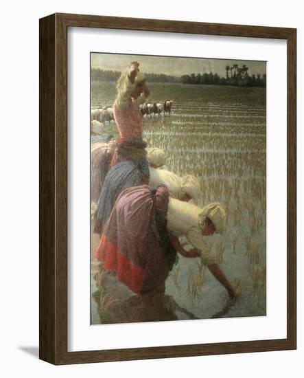 Women Rice Harvesters in the Paddy Field-Angelo Morbelli-Framed Art Print