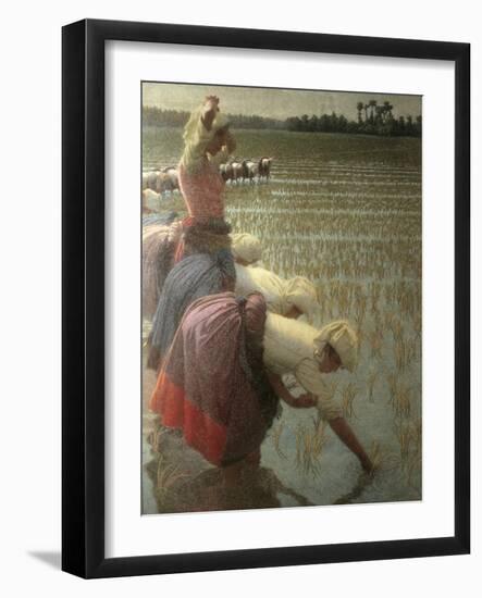 Women Rice Harvesters in the Paddy Field-Angelo Morbelli-Framed Art Print