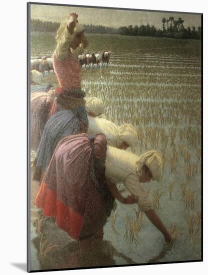 Women Rice Harvesters in the Paddy Field-Angelo Morbelli-Mounted Art Print