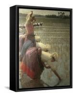 Women Rice Harvesters in the Paddy Field-Angelo Morbelli-Framed Stretched Canvas