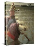 Women Rice Harvesters in the Paddy Field-Angelo Morbelli-Stretched Canvas