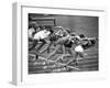 Women Runners Competing at the Olympics-George Silk-Framed Photographic Print