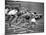Women Runners Competing at the Olympics-George Silk-Mounted Photographic Print