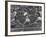 Women Runners Competing at the Olympics-null-Framed Premium Photographic Print