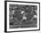 Women Runners Competing at the Olympics-null-Framed Premium Photographic Print