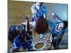 Women's Basketball-null-Mounted Photographic Print