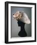 Women's Cloche Synthetic Satin Hat in Ice Grey Color, Ornamented with Organza Flower-null-Framed Giclee Print