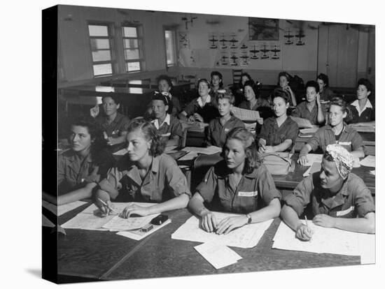 Women's Flying Training Detachment, Pilots in Training For the Women's Auxiliary Ferrying Squadron-Peter Stackpole-Stretched Canvas