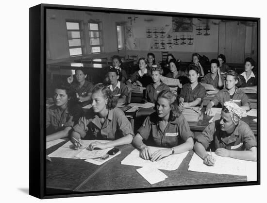 Women's Flying Training Detachment, Pilots in Training For the Women's Auxiliary Ferrying Squadron-Peter Stackpole-Framed Stretched Canvas