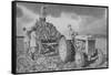 Women's Land Army Lifting a Crop, World War II, 1940-null-Framed Stretched Canvas